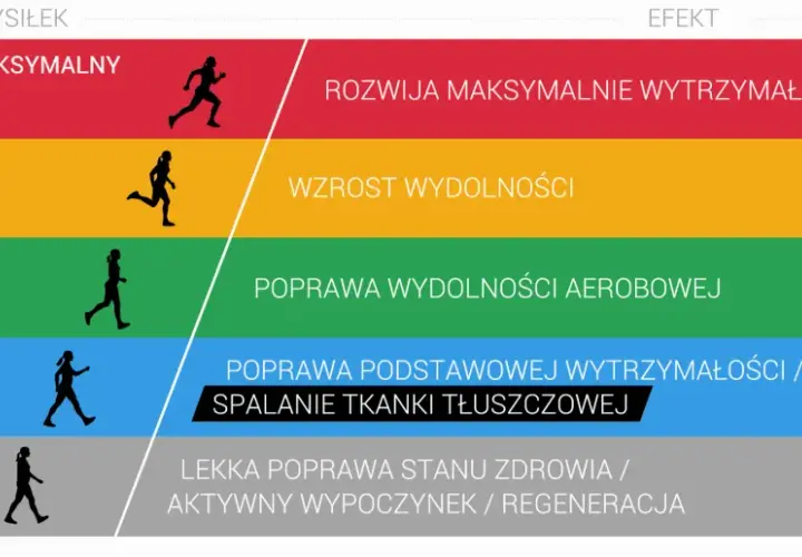 Grafika przedstawia poziomy wysiłku i ich efekty. Strefa aerobowa jest kluczowa dla poprawy wydolności.