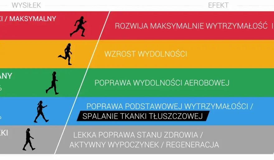 Strefa aerobowa w treningu - jak dobrać tempo i tętno?