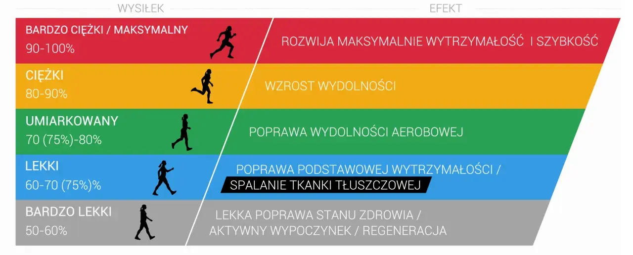 Grafika przedstawia poziomy wysiłku i ich efekty. Strefa aerobowa jest kluczowa dla poprawy wydolności.